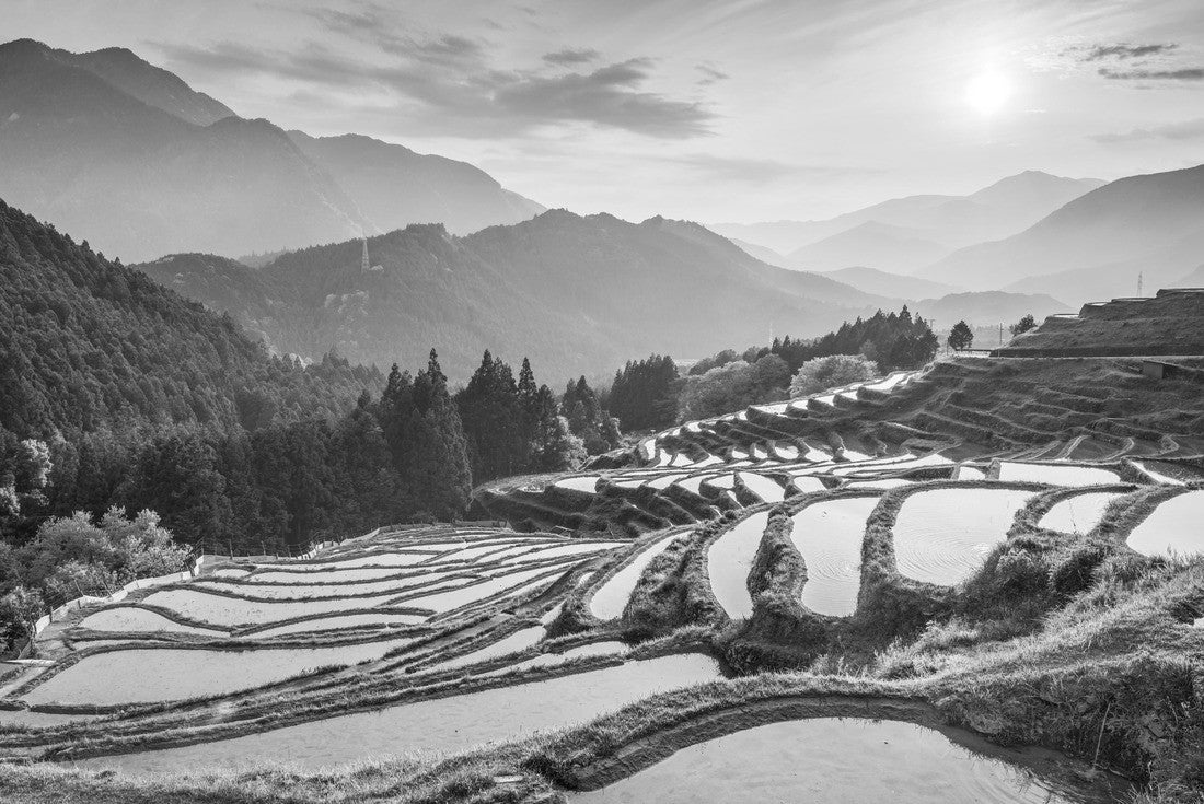 Rice terraces at sunset in Maruyama-senmaida, Kumano, Japan 2000pc PuzzleBlack and White