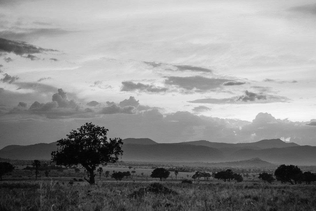 Noah Jigsaw Puzzle Stormcloud landscape in Kidepo Valley National Park - Uganda in black white 2000 pieces