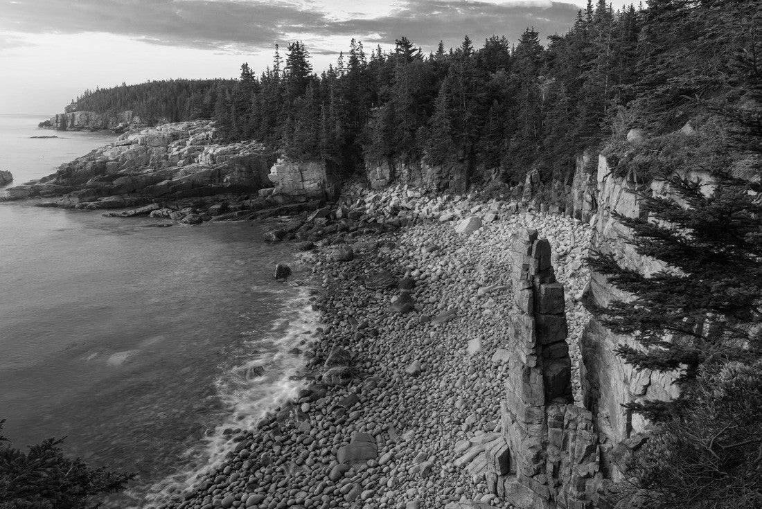 Noah Jigsaw Puzzle Rugged Acadia Coast at sunrise in black white 2000 pieces