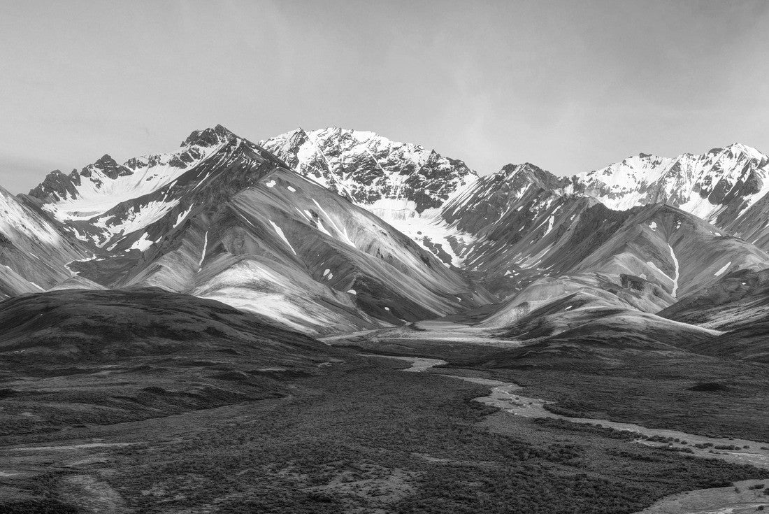 Noah Jigsaw Puzzle Alaska-Denali National Park in black white 2000 pieces