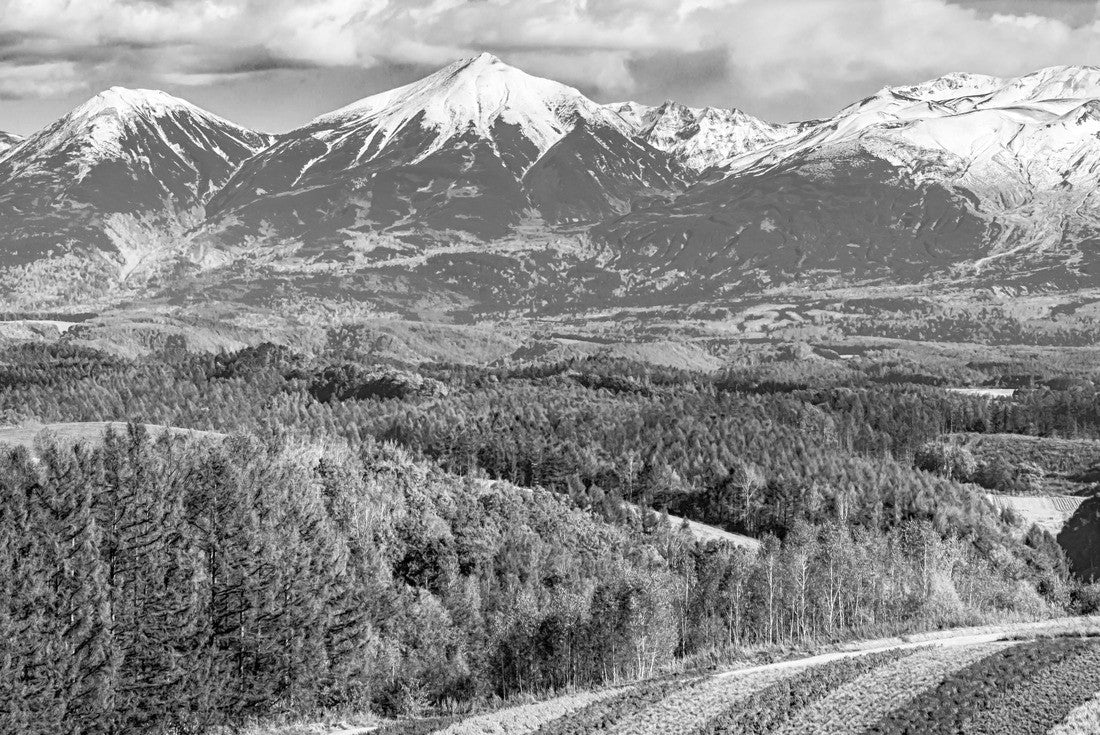 Snow-capped mountain, colorful flower field, Hokkaido, Japan 2000pc PuzzleBlack and White