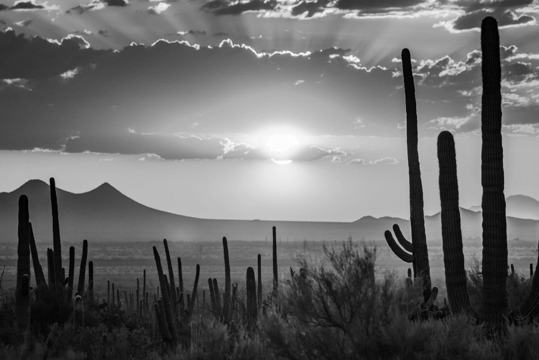 Tucson, Arizona 2000pc PuzzleBlack and White