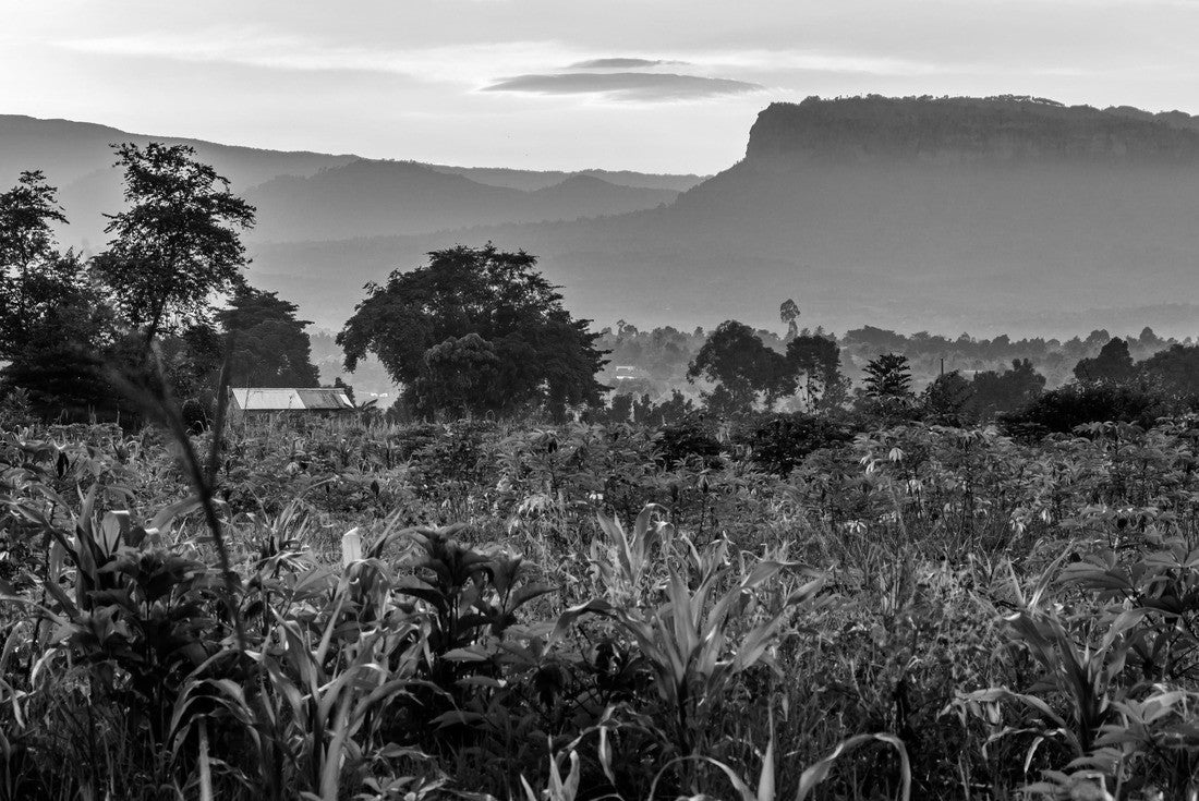 Noah Jigsaw Puzzle Uganda nature with the Mount Elgon national park in the background in black white 2000 pieces