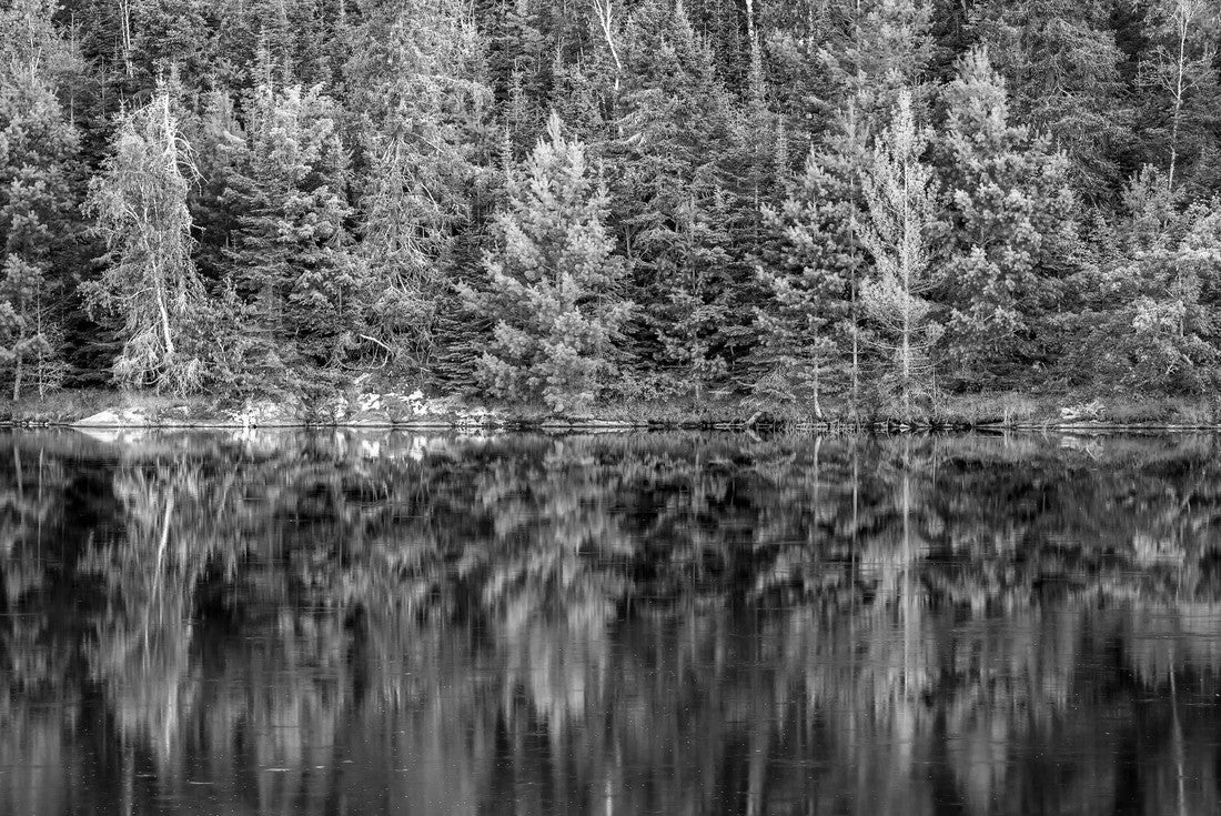 Noah Jigsaw Puzzle Voyageurs National Park in black white 2000 pieces