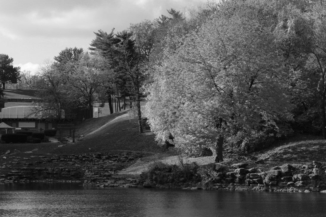 Krug Park, Saint Joseph, Missouri 2000pc PuzzleBlack and White