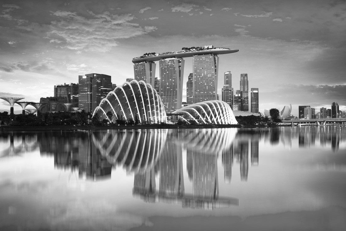 Noah Jigsaw Puzzle Skyline of the city of Singapore at dusk in black white 2000 pieces