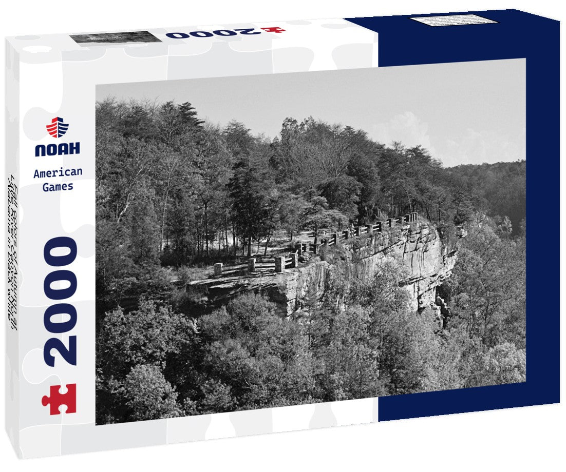Fall colors of Autumn at Little River Canyon North Alabama 2000pc PuzzleBlack and White