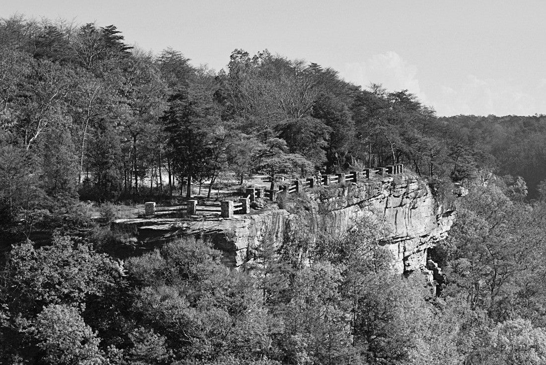 Fall colors of Autumn at Little River Canyon North Alabama 2000pc PuzzleBlack and White