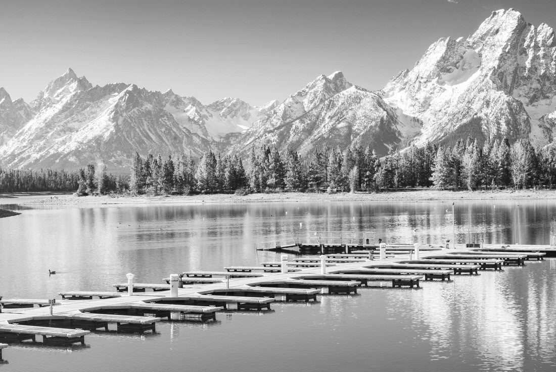 Noah Jigsaw Puzzle Grand Teton National Park, Wyoming, United States of America in black white 2000 pieces