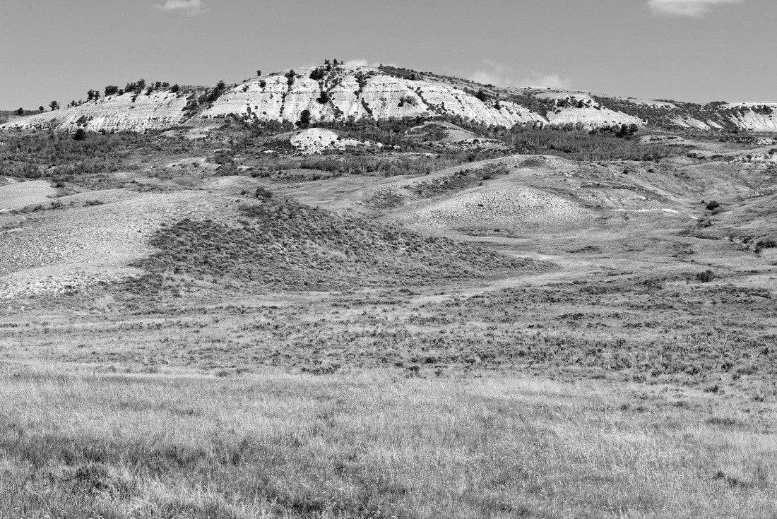 Fossil Butte National Monument near Diamondville, Wyoming 2000pc PuzzleBlack and White