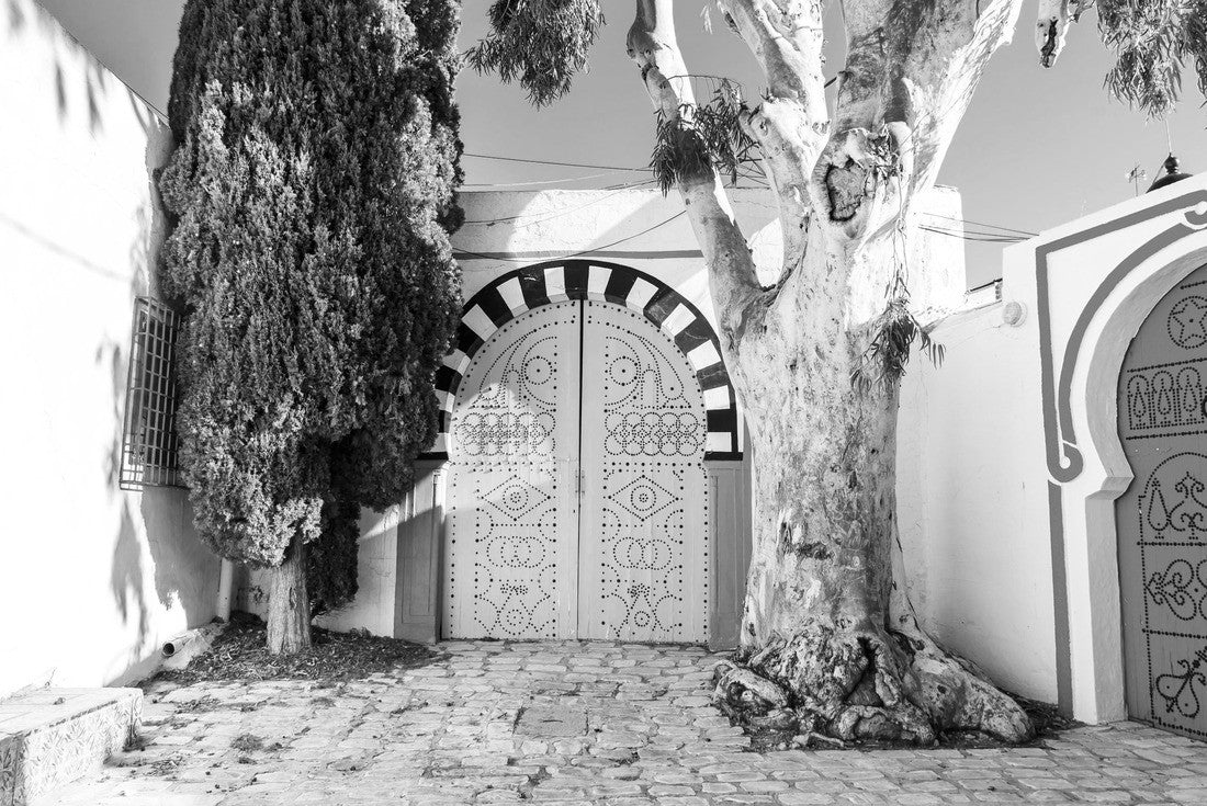 Noah Jigsaw Puzzle Traditional blue doors with ornaments in Sidi Bou Said, Tunisia in black white 2000 pieces