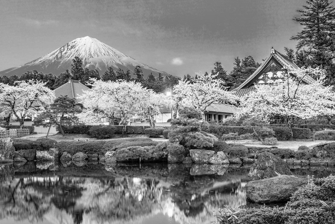Noah Jigsaw Puzzle Fujinomiya, Shizuoka, Japan with Mt. Fuji and temples in spring season in black white 2000 pieces