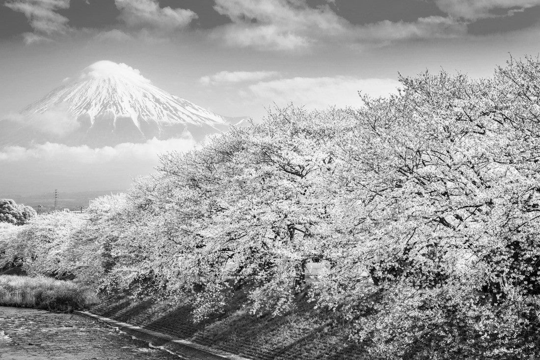 Mt. Fuji, Japan spring landscape 2000pc PuzzleBlack and White