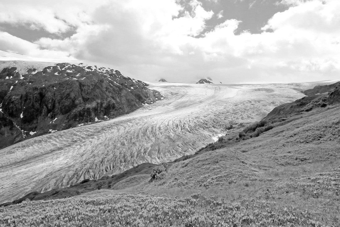 Exit Glacier, Harding Ice Field, Kenai Fjords National Park, Alaska, USA 2000pc PuzzleBlack and White