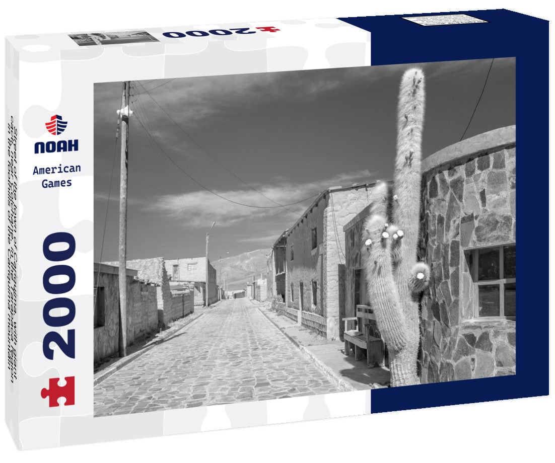 Street of the town of Cariquima, with giant cacti, near Colchane, in the Tarapaca region, in the foothills of the Cariquima mountain, northern Chile 2000pc PuzzleBlack and White