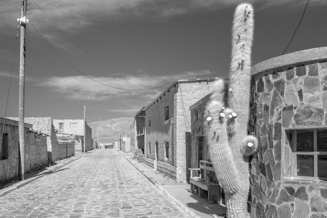 Street of the town of Cariquima, with giant cacti, near Colchane, in the Tarapaca region, in the foothills of the Cariquima mountain, northern Chile 2000pc PuzzleBlack and White