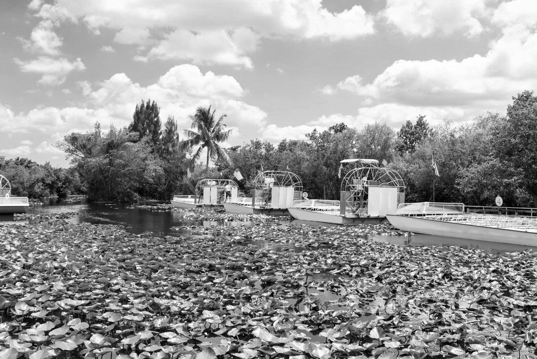 Florida wetland, Airboat ride at Everglades National Park in USA. Popular place for tourists, wild nature and animals 2000pc PuzzleBlack and White
