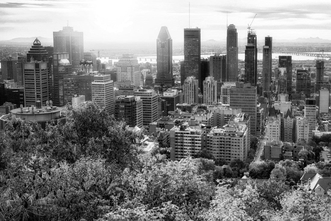 Montreal sunrise with colorful leaves 2000pc PuzzleBlack and White