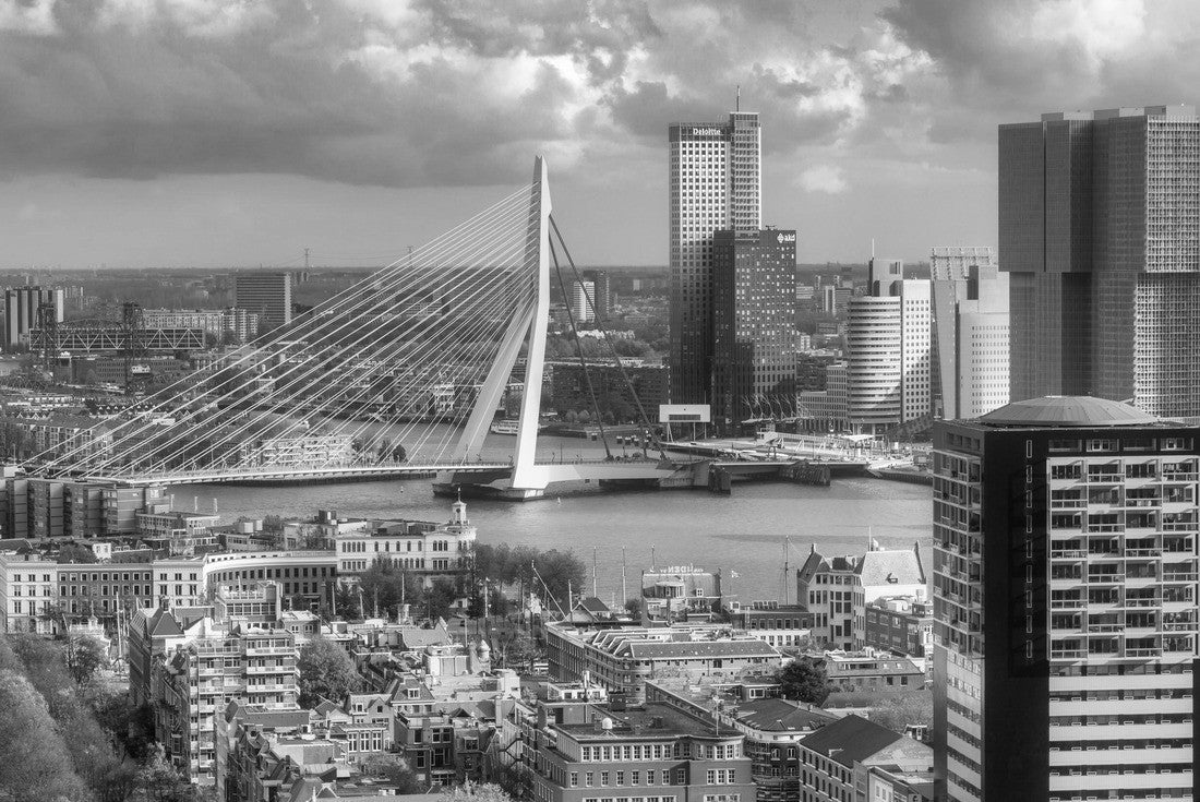 Noah Jigsaw Puzzle Overview of Rotterdam city from the Euromast tower in black white 2000 pieces