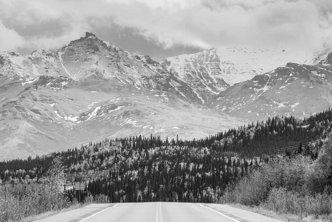 Drive on George Parks highway near Denali National Park and Preserve in Alaska. In the background the Alaska Range with clouds and forest is visible 2000pc PuzzleBlack and White