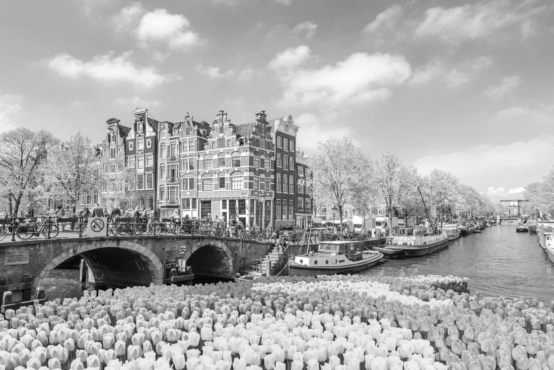 Amsterdam Netherlands, city skyline at the canal with spring tulips 2000pc PuzzleBlack and White