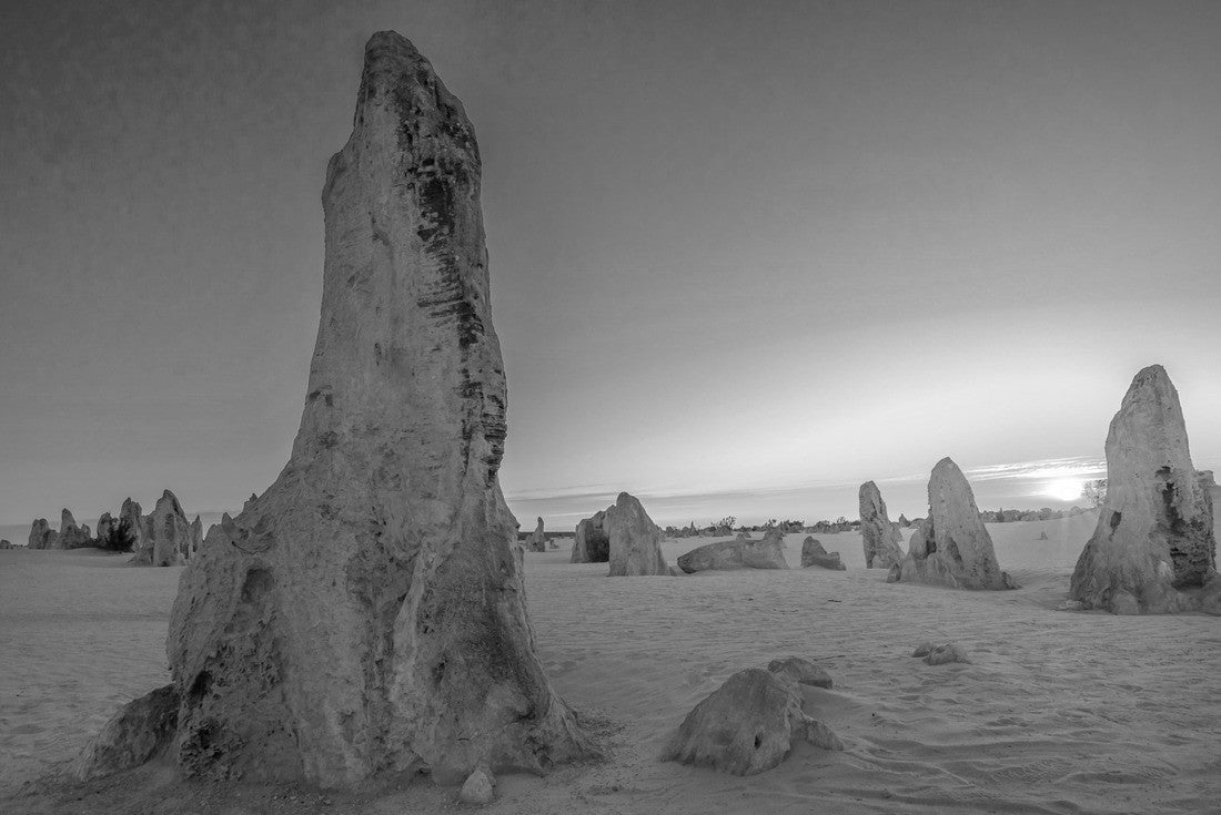 Giant limestone formation at dusk. The Pinnacles Desert in Nambung National Park, offers, at sunset, the show with the best colors 2000pc PuzzleBlack and White