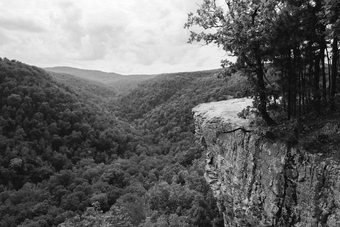 Bluff lines and rock formations on the Hawksbill Crag hiking trail; near Fayetteville, Arkansas 2000pc PuzzleBlack and White
