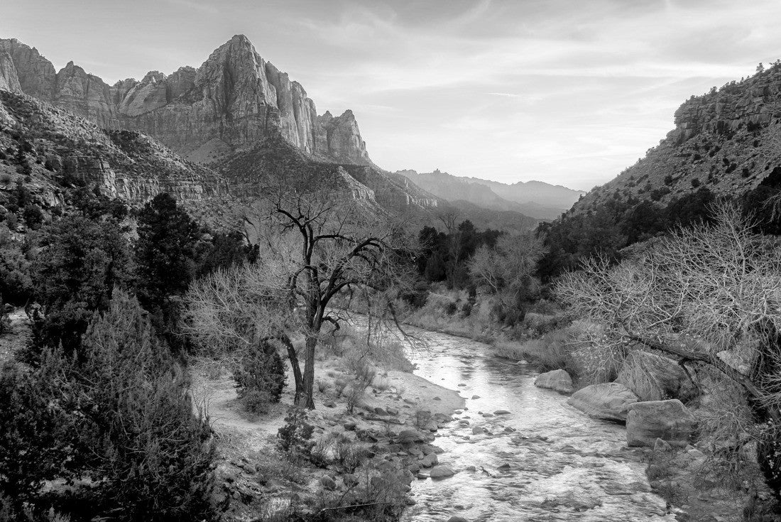 Zion national park late autumn landscape view with Watchman peak, Utah, USA 2000pc PuzzleBlack and White