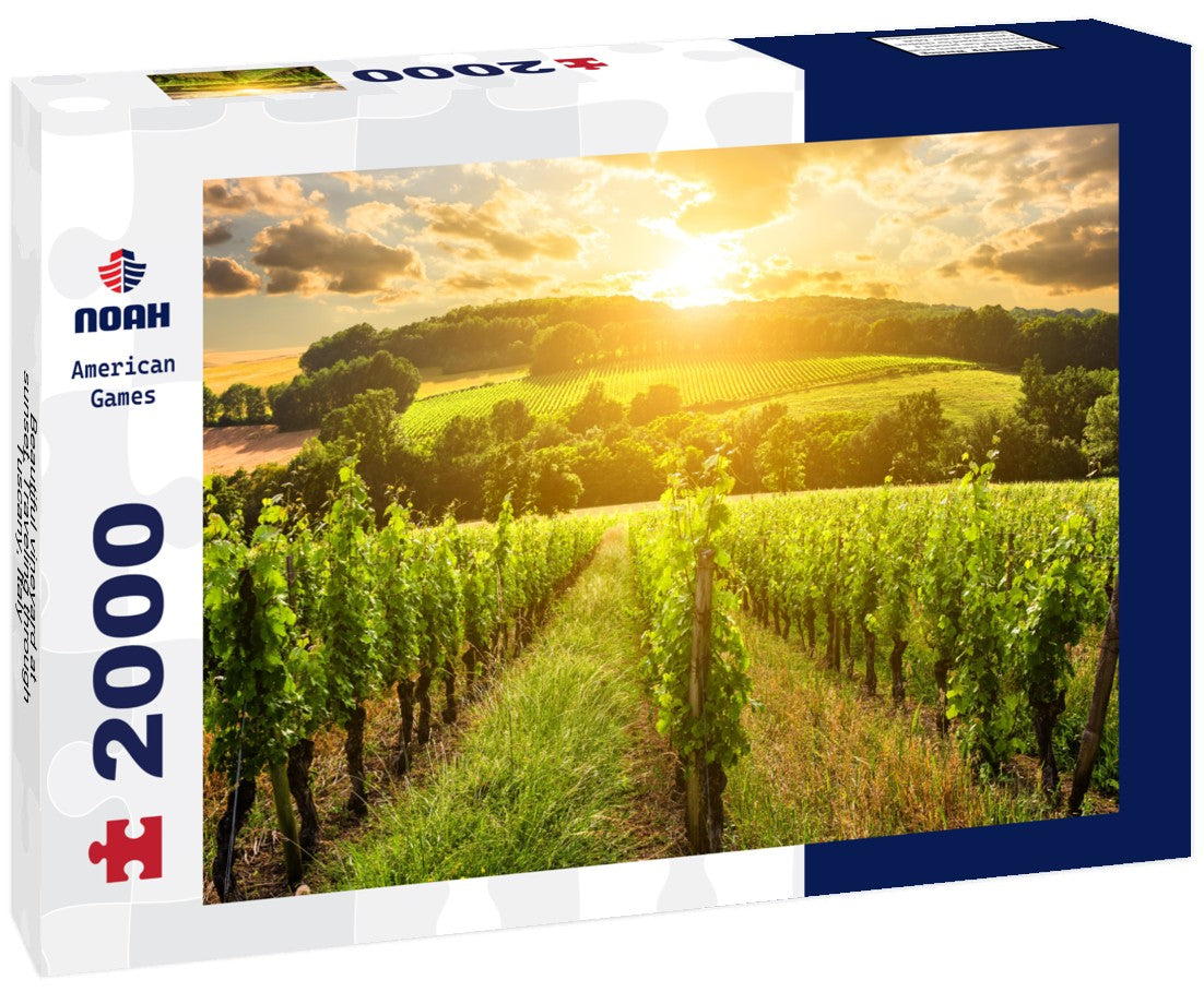 Beautiful vineyard at sunset. Traveling through Tuscany, Italy 2000pc Puzzle