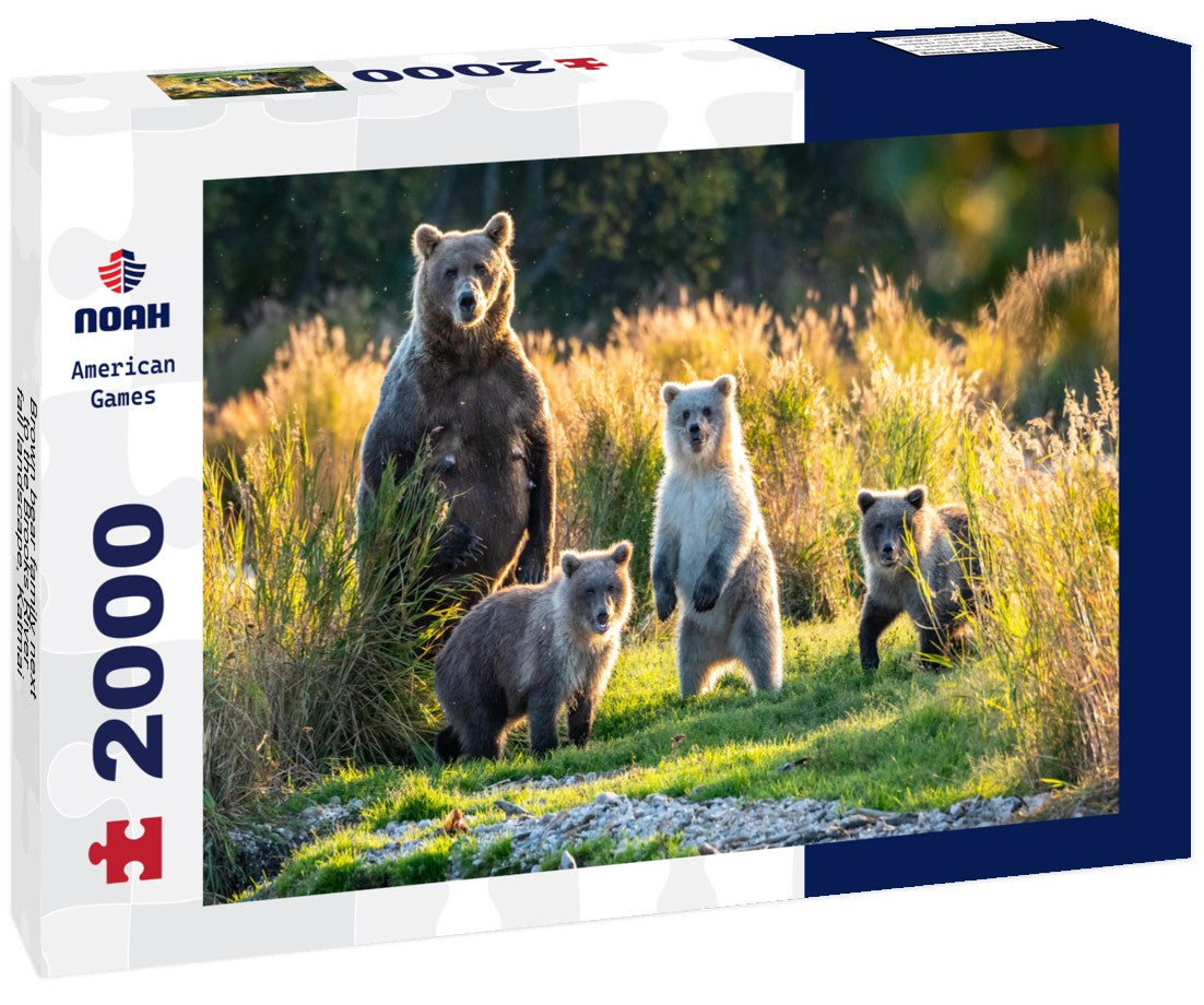 Brown bear family next to the Brooks River, fall landscape, Katmai National Park, Alaska 2000pc Puzzle