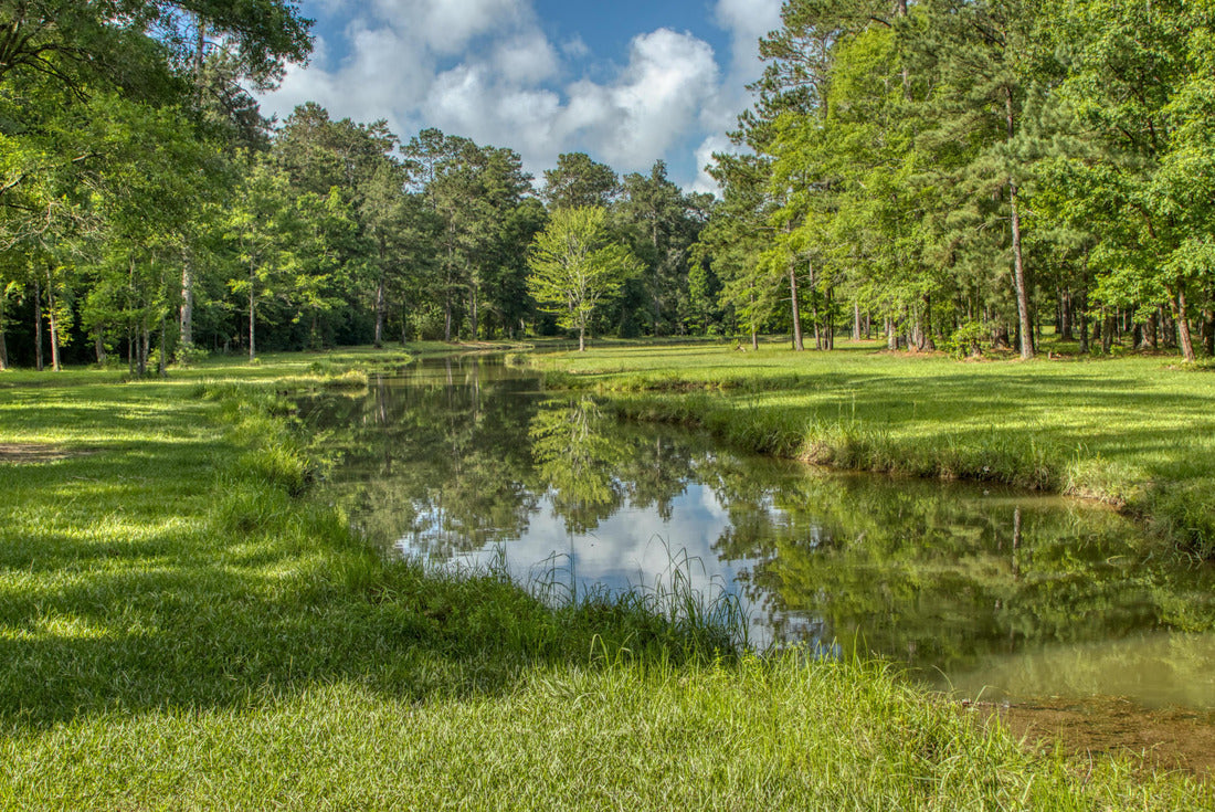 Landscape around Washington Parish in Louisiana 2000pc Puzzle
