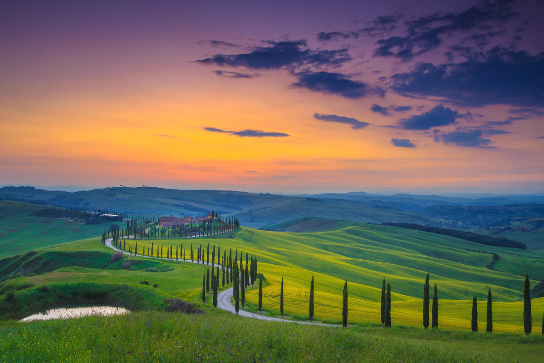 Fantastic summer colorful sunset landscape in Tuscany. Wonderful flowery grain fields and winding rural road with cypresses at sunset, Asciano, Tuscany, Italy 2000pc Puzzle