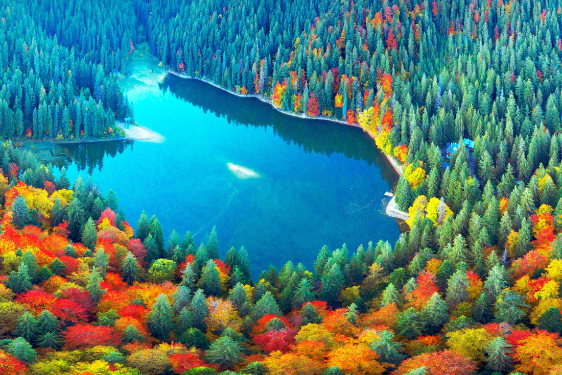 Noah Jigsaw Puzzle The famous Synevyr lake, a tourist attraction, in the Carpathians, Ukraine, autumn beech and coniferous forest, beautiful mountain landscape 2000 pieces