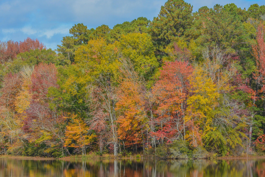 Noah Jigsaw Puzzle Beautiful Lake Hamburger in Hamburg State Park, Mitchell, Washington County, Georgia 2000 pieces