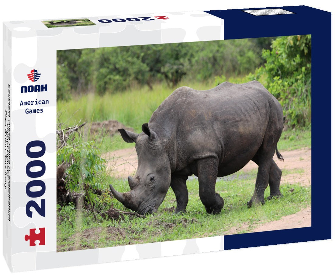 Southern White Rhino (Ceratotherium simum simum) - Ziwa Rhino Sanctuary, Uganda, Africa 2000pc Puzzle