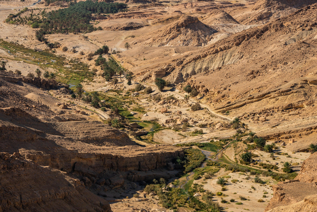 Noah Jigsaw Puzzle View of the Südberg in western Tunisia near the Sahara - Province of Tozeur - Tunisia 2000 pieces