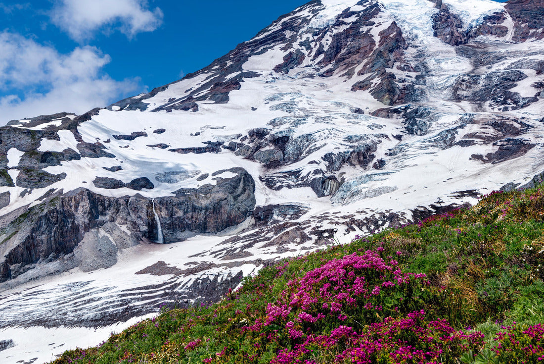 Skyline Trail, Mount Rainier. Mount Rainier National Park, Washington State, USA 2000pc Puzzle