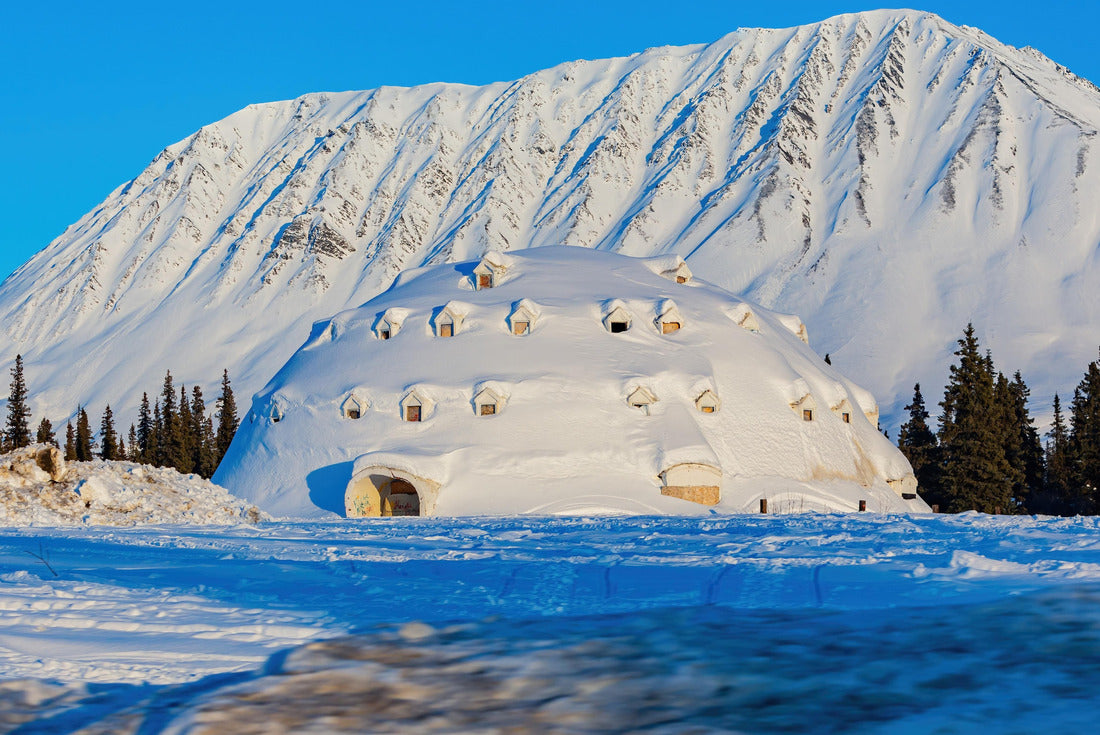 Noah Jigsaw Puzzle Afternoon landscape in Denali National Park and Preserve near Fairbanks, Alaska 2000 pieces