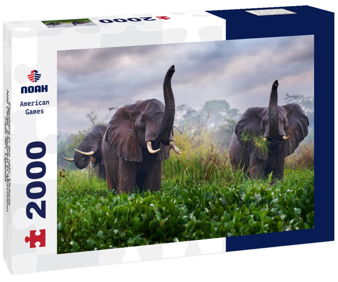Elephant in the rain, Victoria Nile Delta. Elephant in Murchison Falls NP, Uganda 2000pc Puzzle