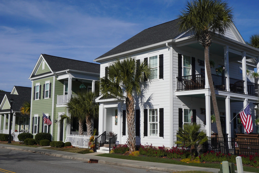 Street view of houses in a suburban neighborhood in South Carolina 2000pc Puzzle