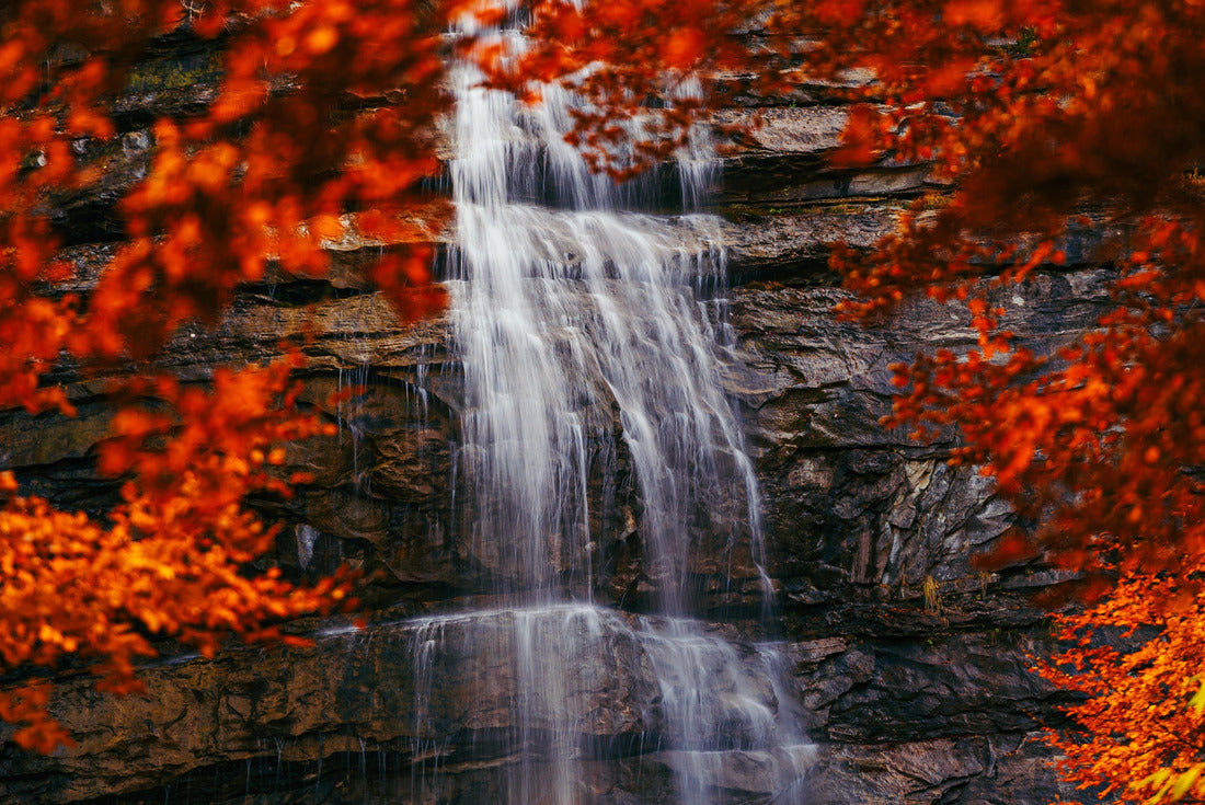 Noah Jigsaw Puzzle Morricana waterfalls in Monti della Laga, Abruzzo, Italy, in the fall season with red and orange leaves 2000 pieces