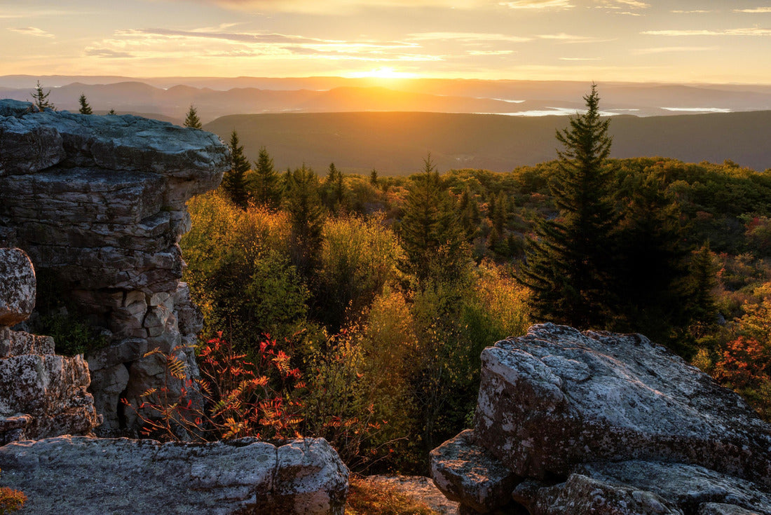 Sunrise, Dolly Sods Wilderness, West Virginia 2000pc Puzzle
