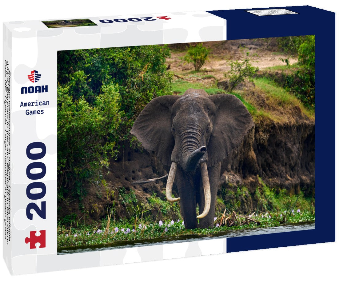 Elegant watercourse in nature. Uganda wildlife, Africa. Elephant in the rain. Elephant in Murchison Falls NP, Uganda. Large mammal in green grass, forest vegetation in background 2000pc Puzzle