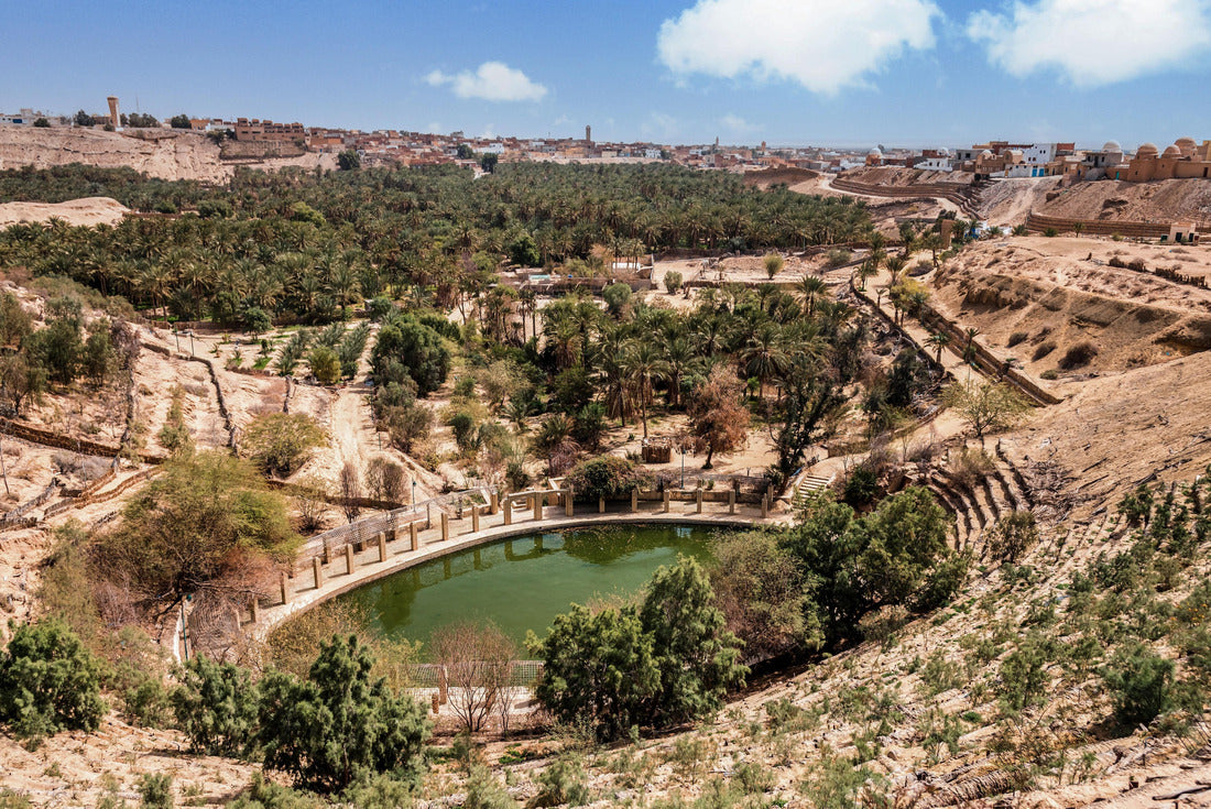 Noah Jigsaw Puzzle The basket of Nefta Tozeur, Tunisia 2000 pieces