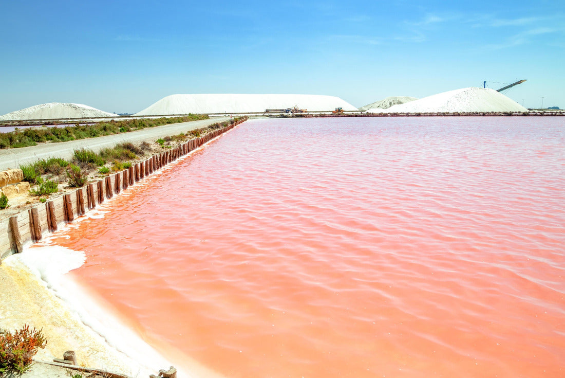 Noah Jigsaw Puzzle Aigues Mortes, Salt Lakes, France 2000 pieces