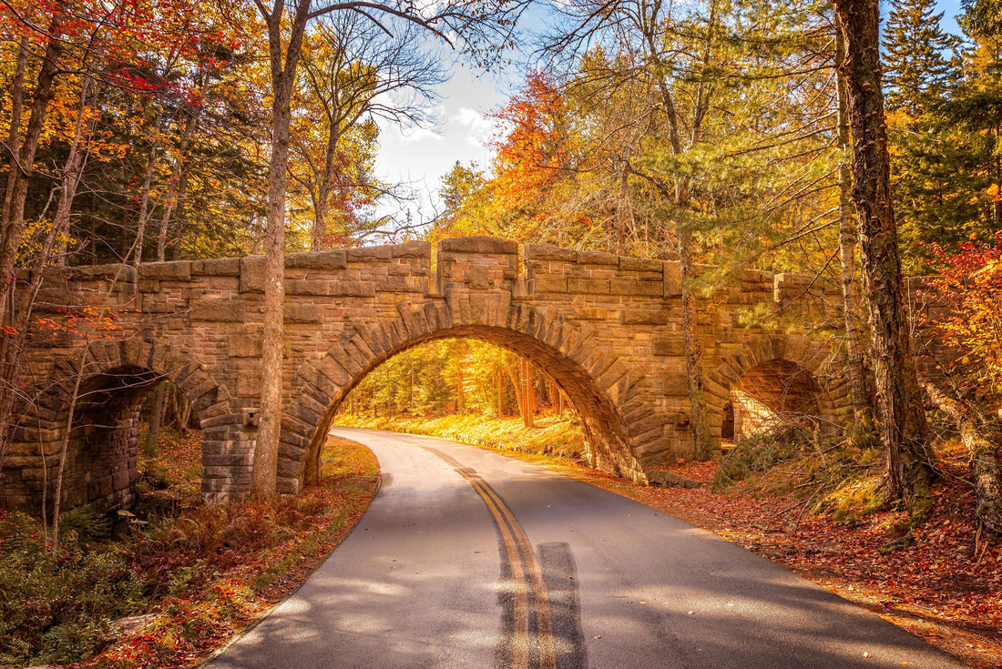 Noah Jigsaw Puzzle Stanley Brook Bridge in Acadia National Park on a sunny fall day 2000 pieces