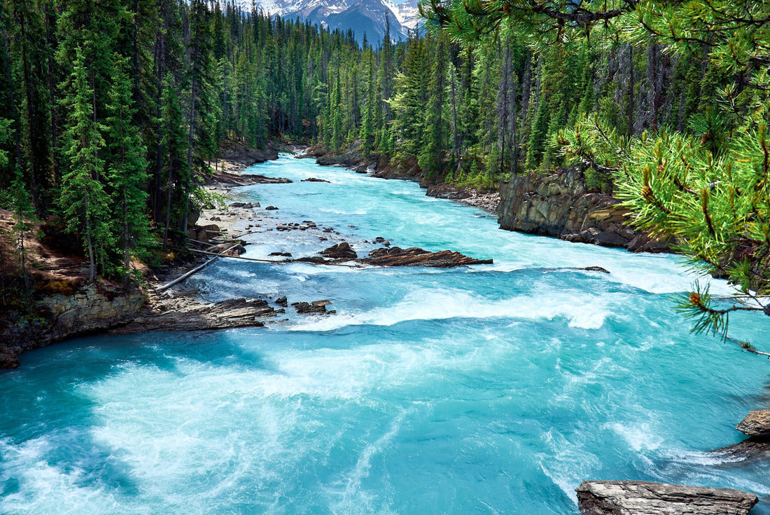 Mountain Kicking Horse River in evergreen forest, Yoho National Park, British Columbia, Canada 2000pc Puzzle