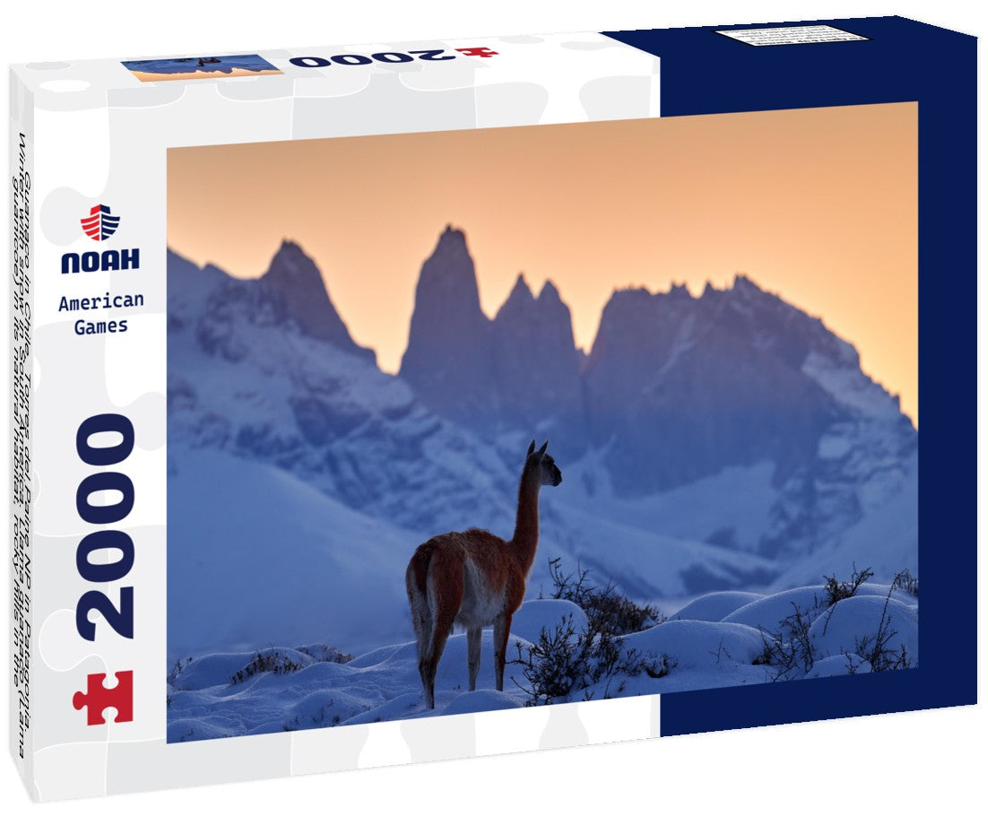 Guanaco in Chile, Torres del Paine NP in Patagonia. Winter with snow in South America. Llama guanaco (Lama guanicoe) in its natural habitat, rocky hills in the mountains. Sunset with snow in Patagonia 2000pc Puzzle