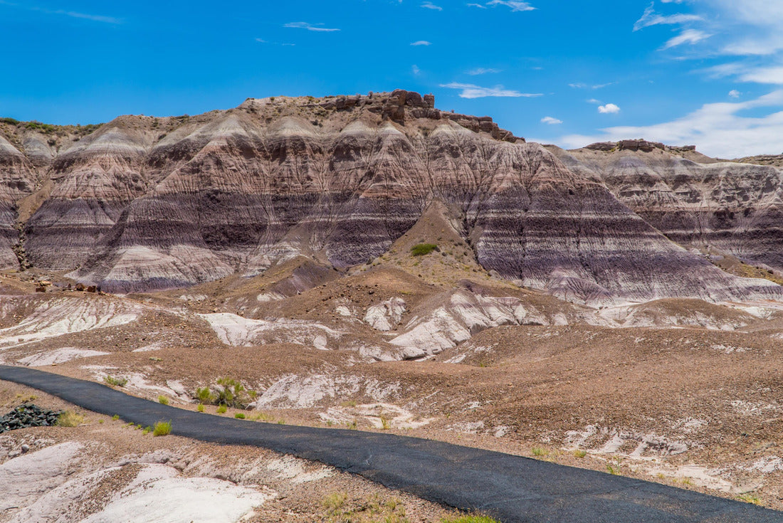 The Blue Mesa Trail inside Petrified Forest National Park, Arizona 2000pc Puzzle