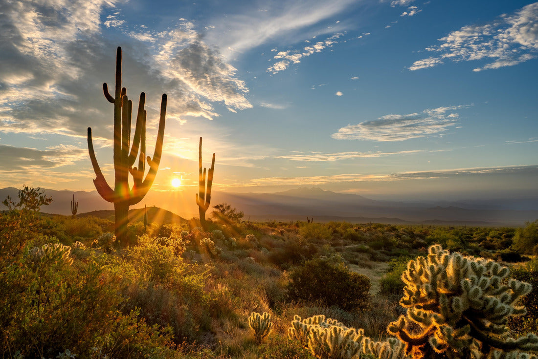 Sunrise at the Majestic McDowell Mountains in Scottsdale, AZ 2000pc Puzzle
